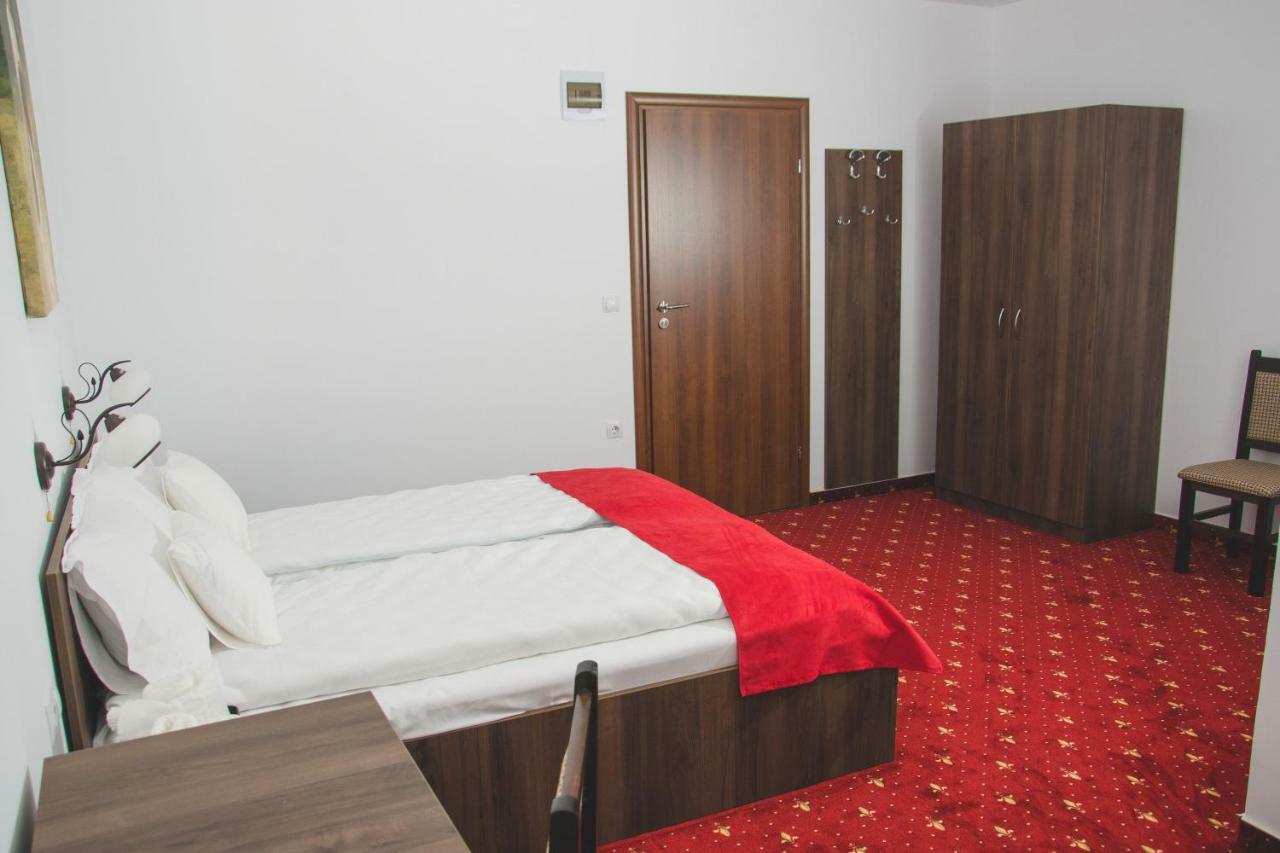 Pensiunea Iliada Guest house *