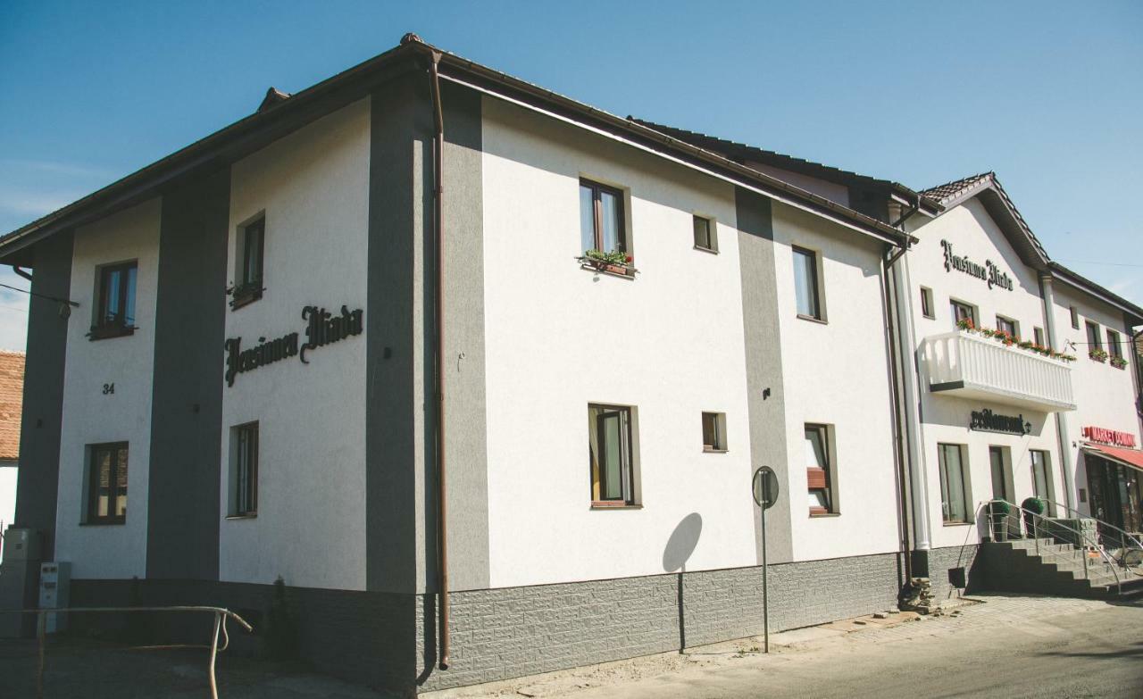 Guest house Pensiunea Iliada Sibiu