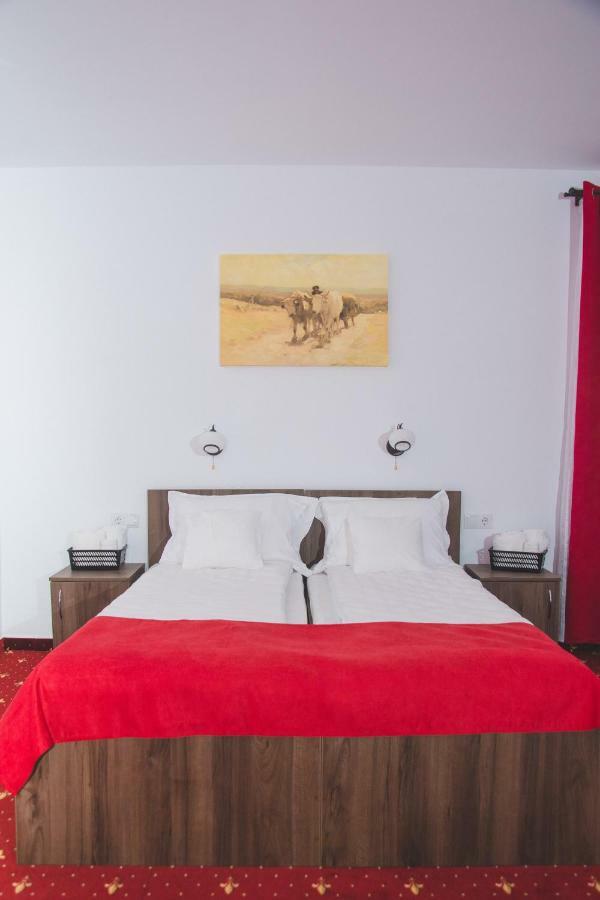 Guest house Pensiunea Iliada Sibiu