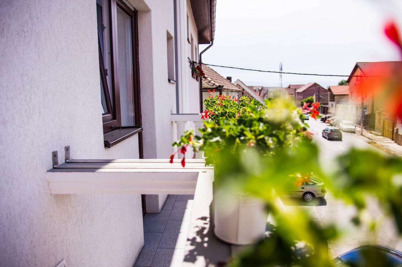 Pensiunea Iliada Guest house
